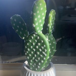 Fake cactus